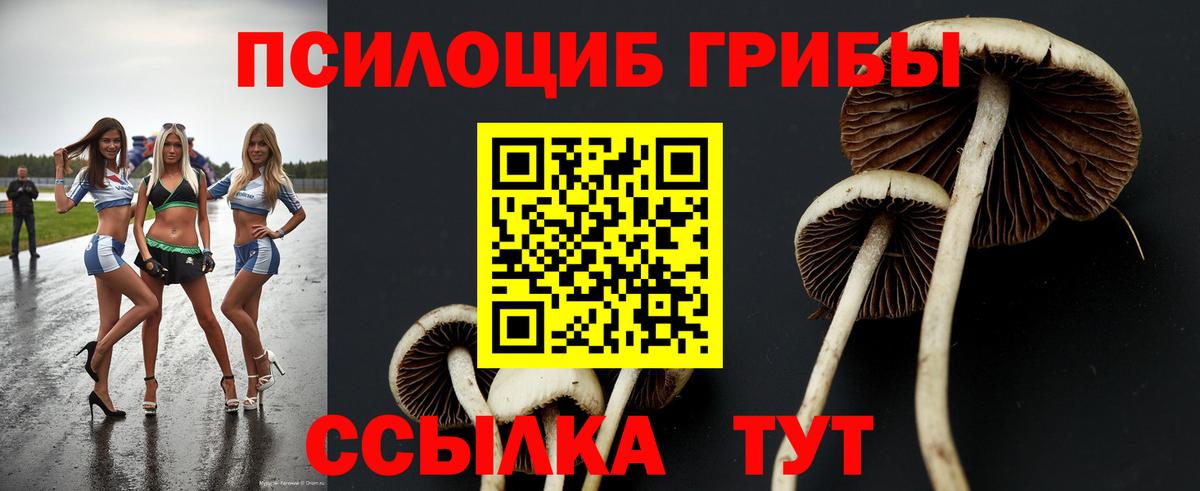 хочу   Вход с VPN  Галлюциногенные грибы Psilocybine cubensis  Симферополь  Псилоцибиновые грибы ЛСД 